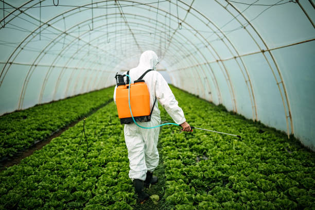 Best Affordable Pest Control Services  in Melbourne, AR