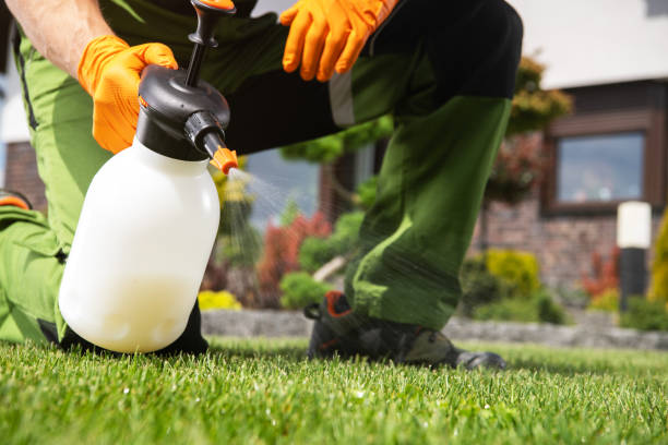 Best Flea Control Services  in Melbourne, AR