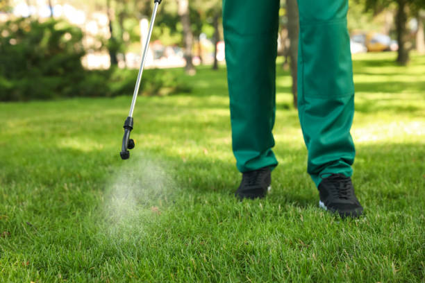 Best Pest Removal Services  in Melbourne, AR