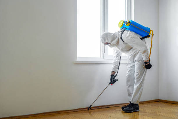 Pest Control for Restaurants in Melbourne, AR