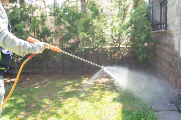 Professional Pest Control in Melbourne, AR
