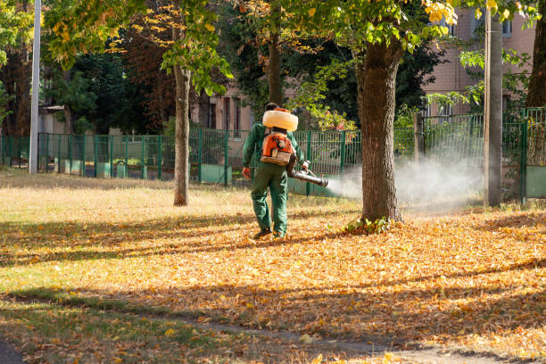 Best Exterminator Services  in Melbourne, AR