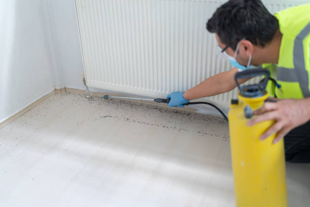 Best Pest Inspection Near Me  in Melbourne, AR