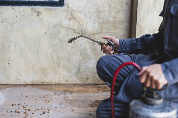 Best Pest Prevention Services  in Melbourne, AR